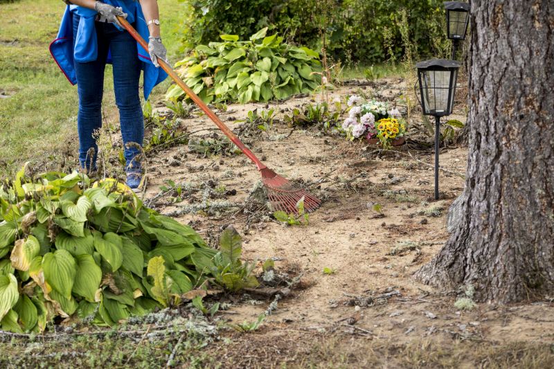 Site Clearing Service in Gwinnett County, GA