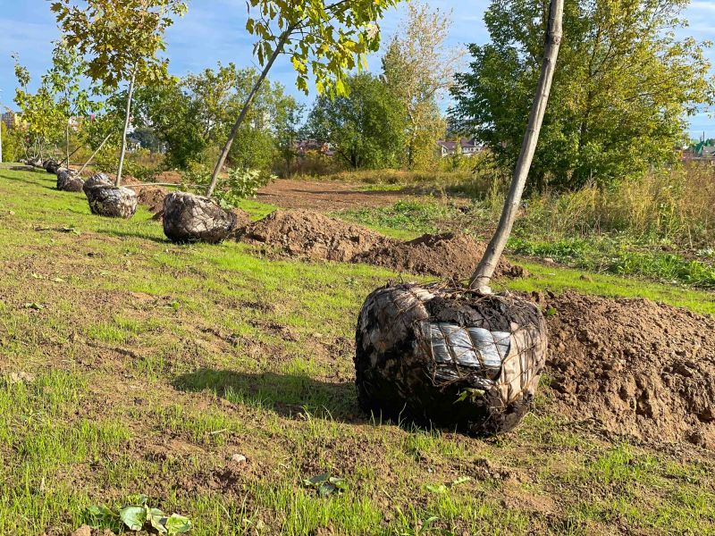 Post-Relocation Stabilization